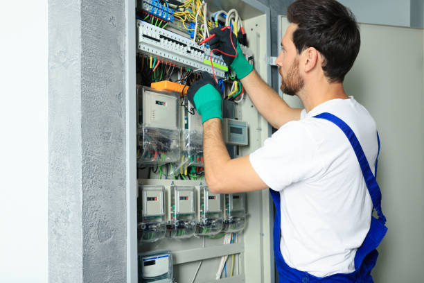 Best Ceiling Fan Installation Electrician  in Point Clear, AL